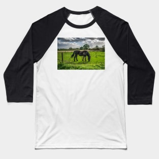 A horse in the Netherlands Baseball T-Shirt